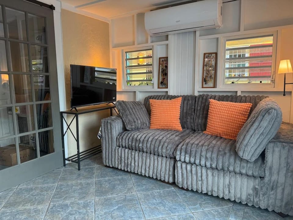 NewReno, AC, 2 blocks to Beach, Dive, Eat, Drink Apartment in Frederiksted
