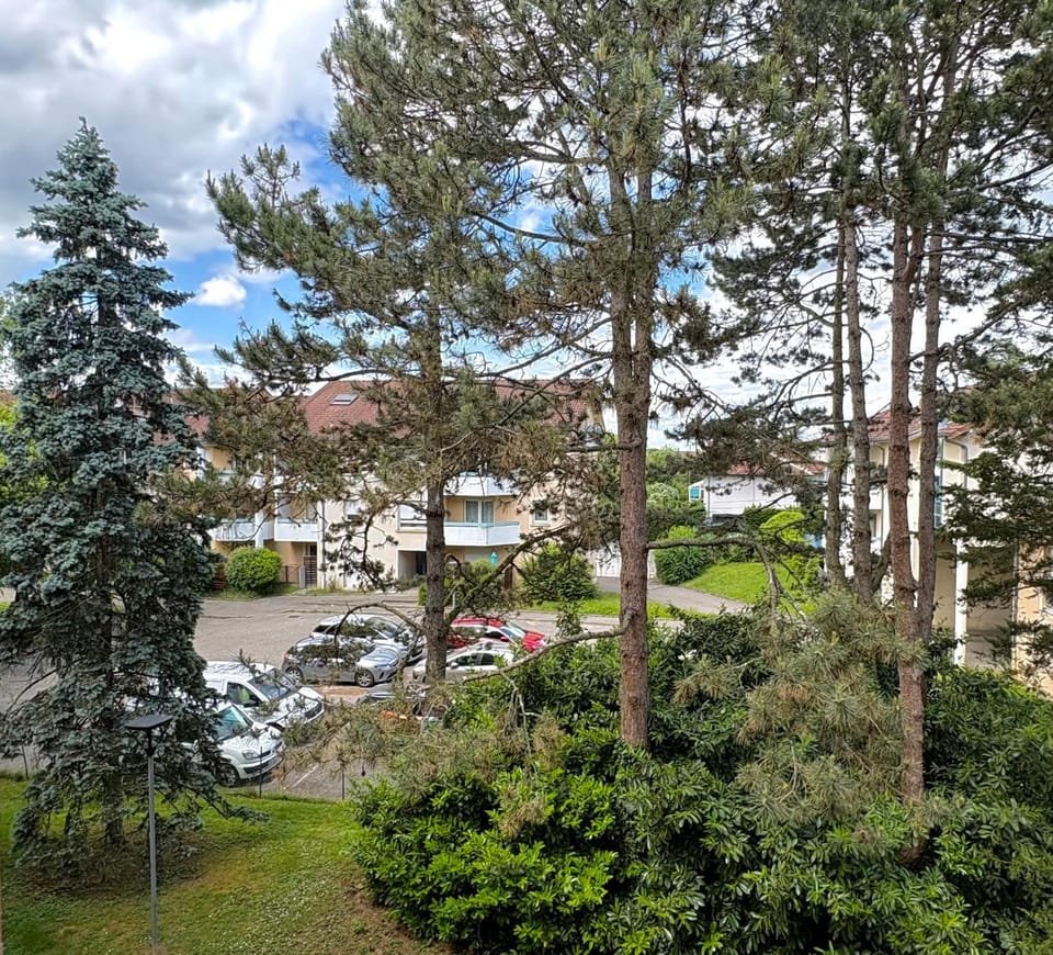 Garden view