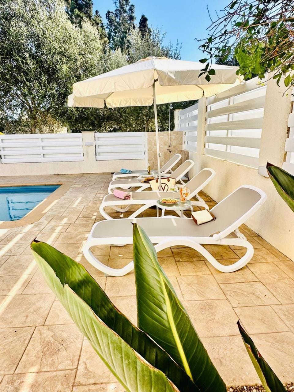 Villa Simona Villa in Protaras