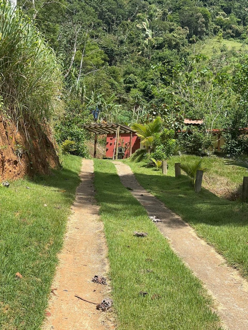 Chácara nosso pedacinho do céu House in Domingos Martins