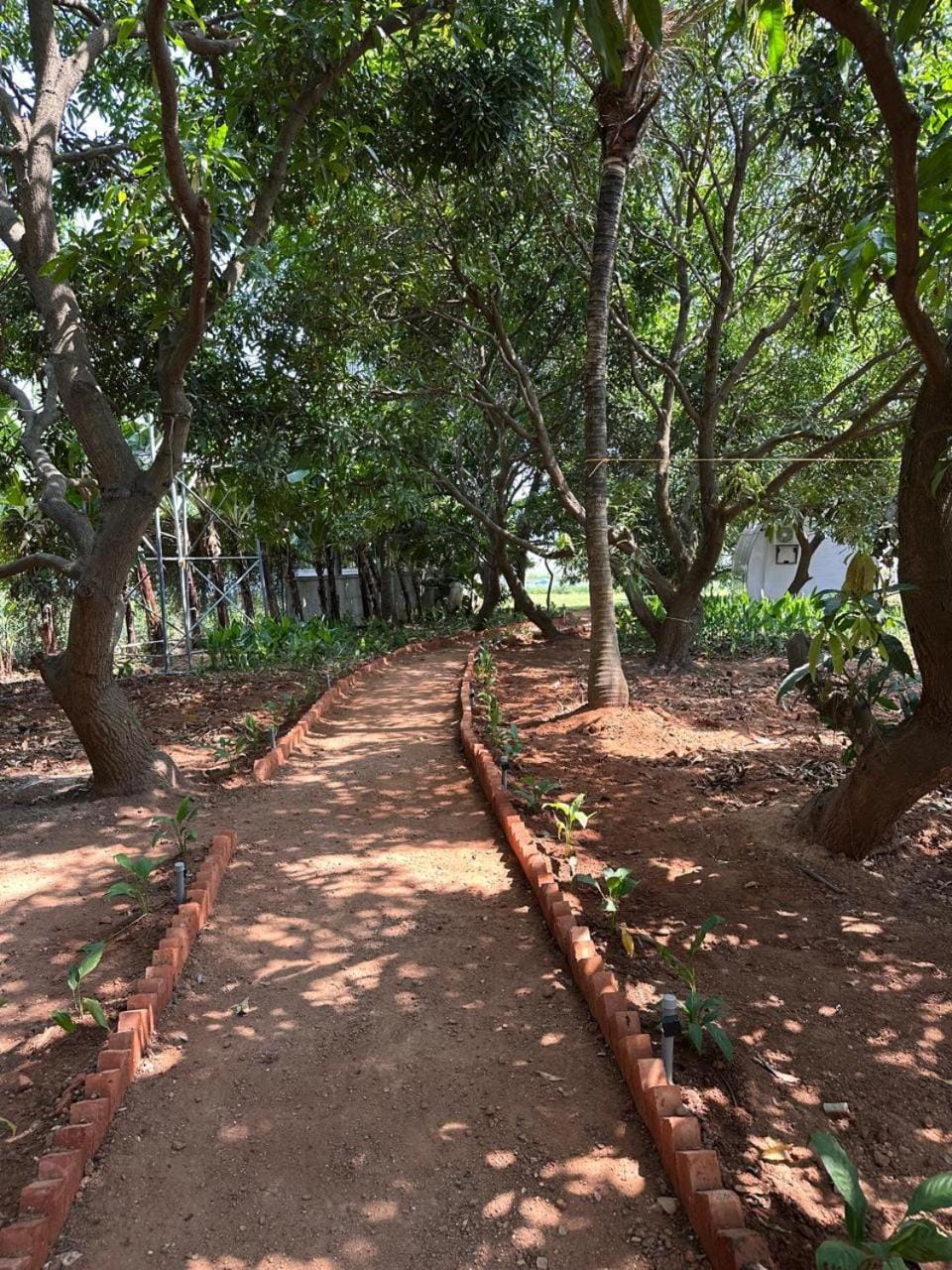 Riva farmstay Farm Stay in Kerala