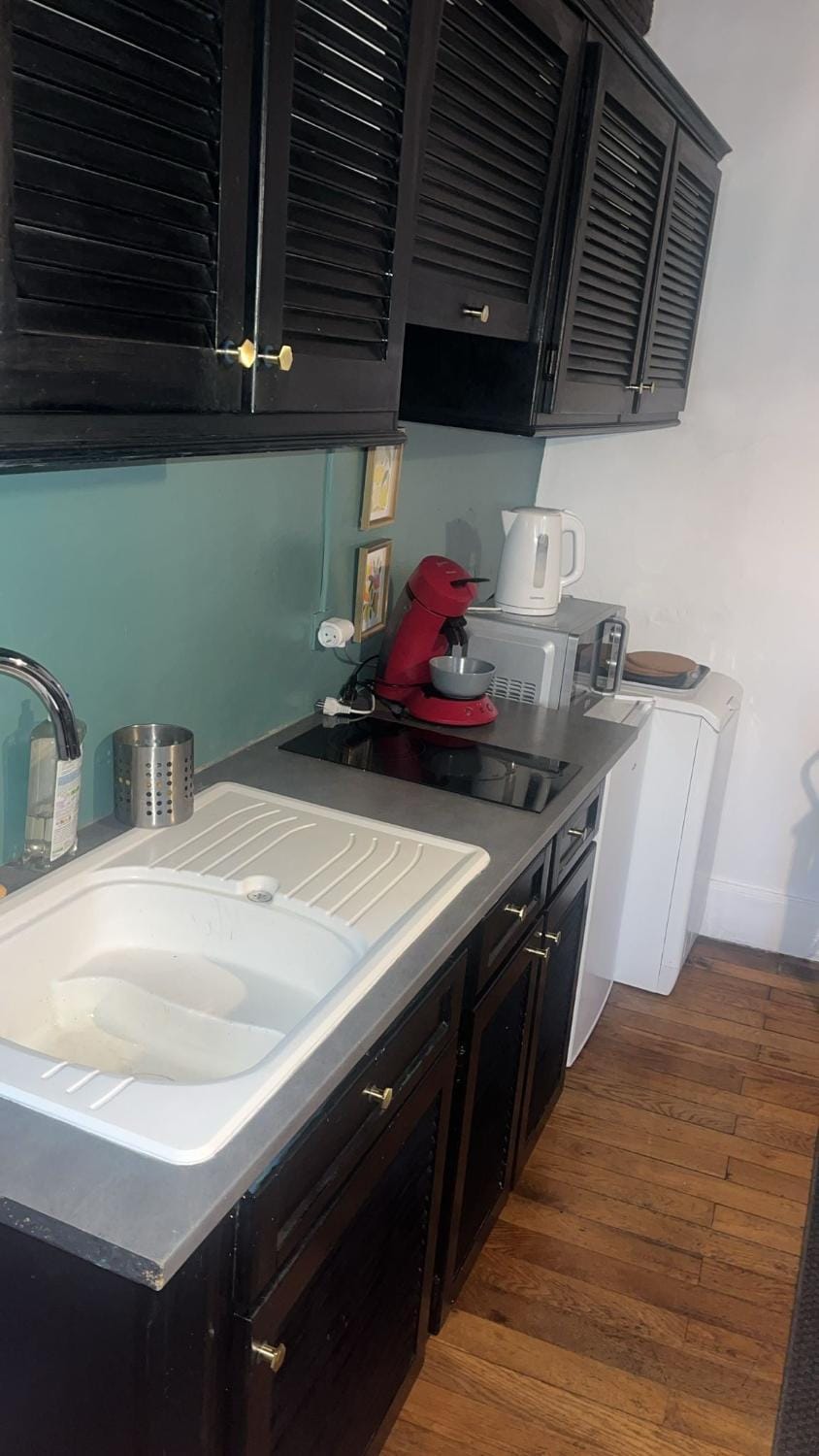 charmant appartement hyper-centre Apartment in Dijon