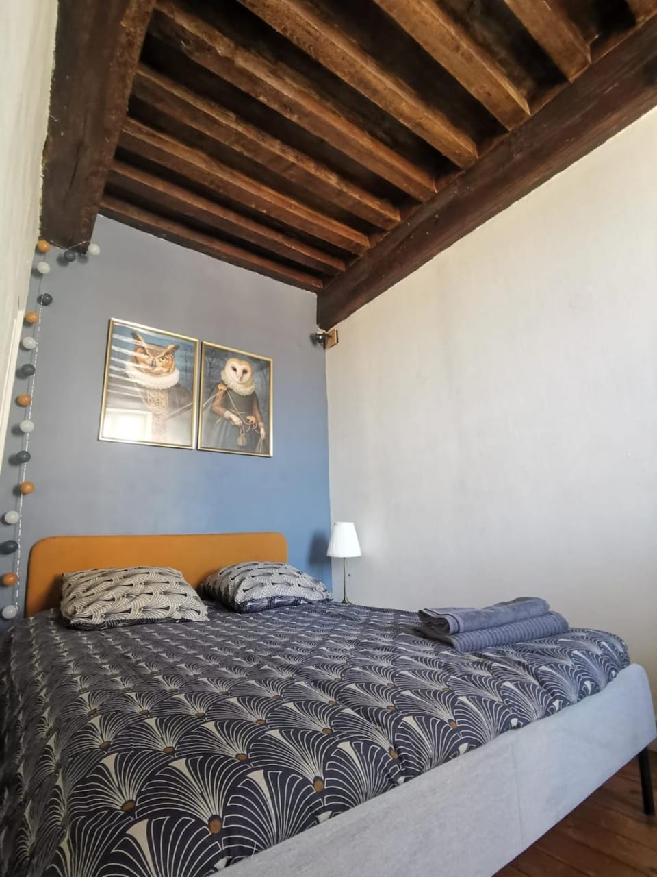 charmant appartement hyper-centre Apartment in Dijon