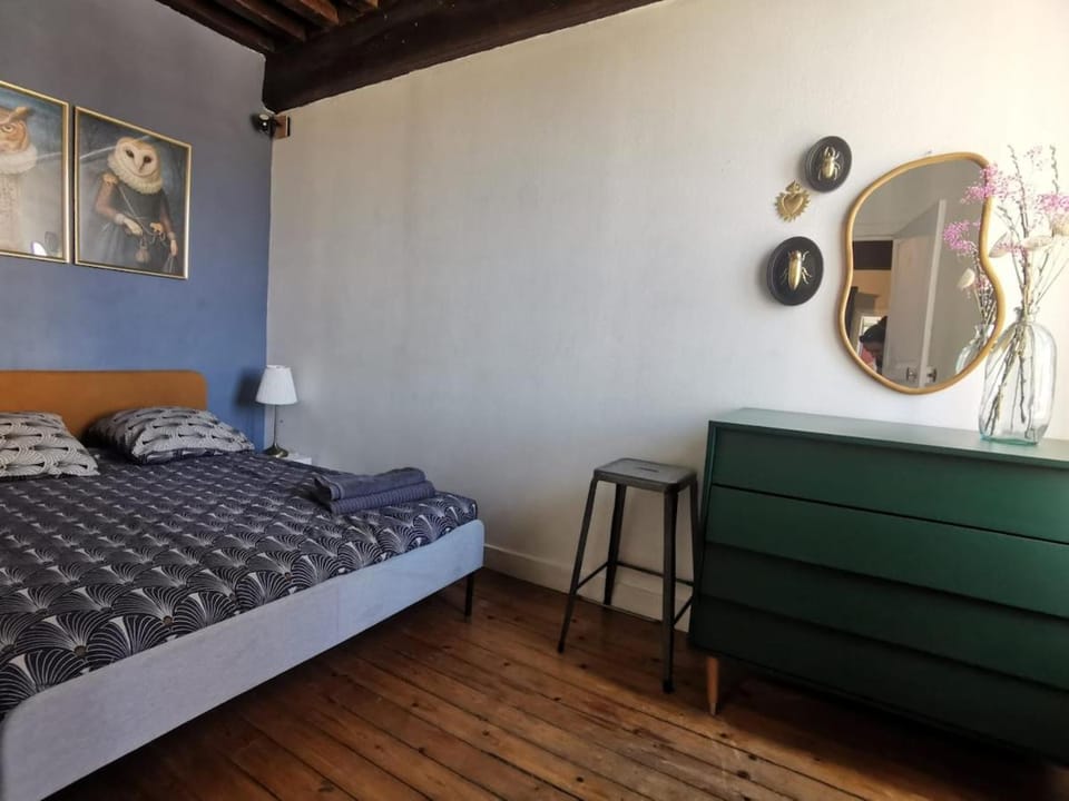 charmant appartement hyper-centre Apartment in Dijon