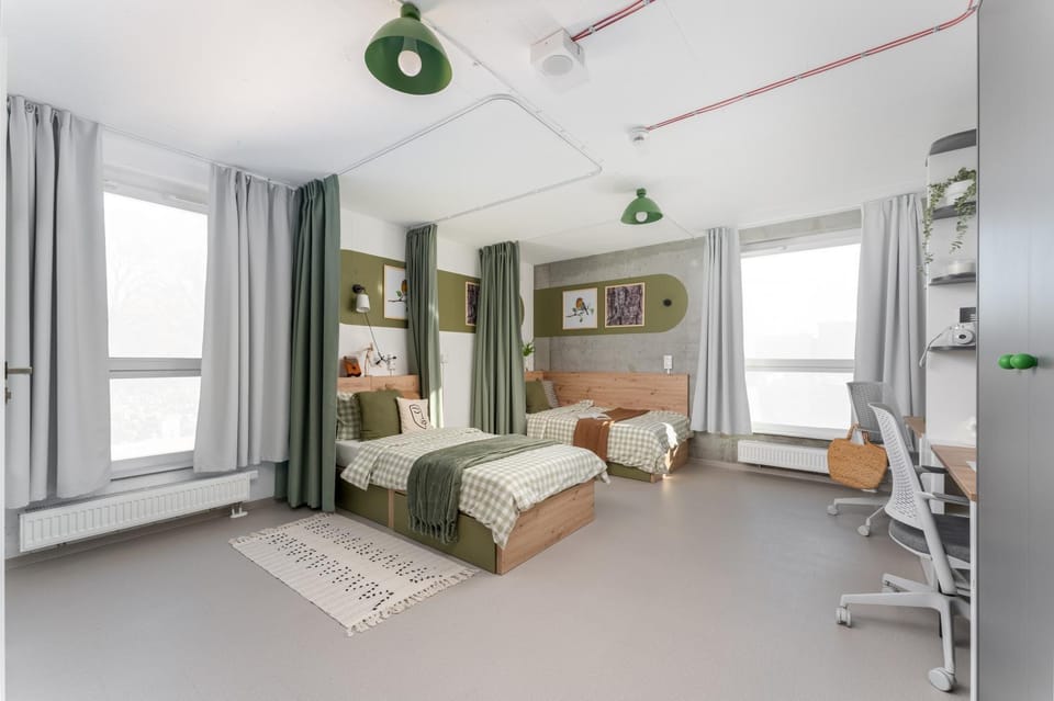 Bed, Photo of the whole room, Bedroom