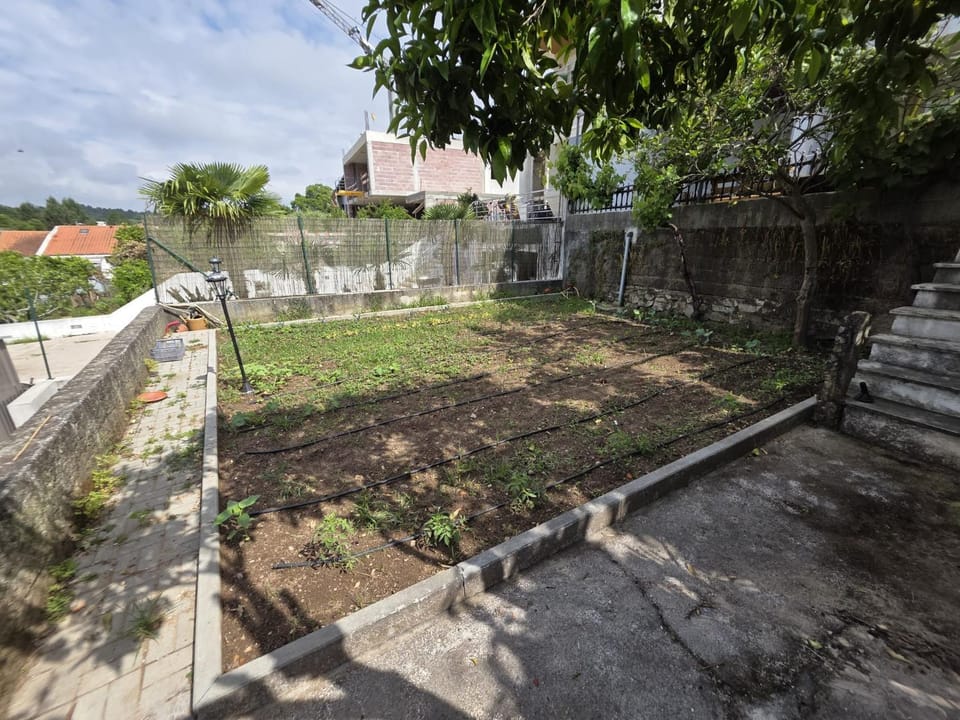 Spring, Day, Garden