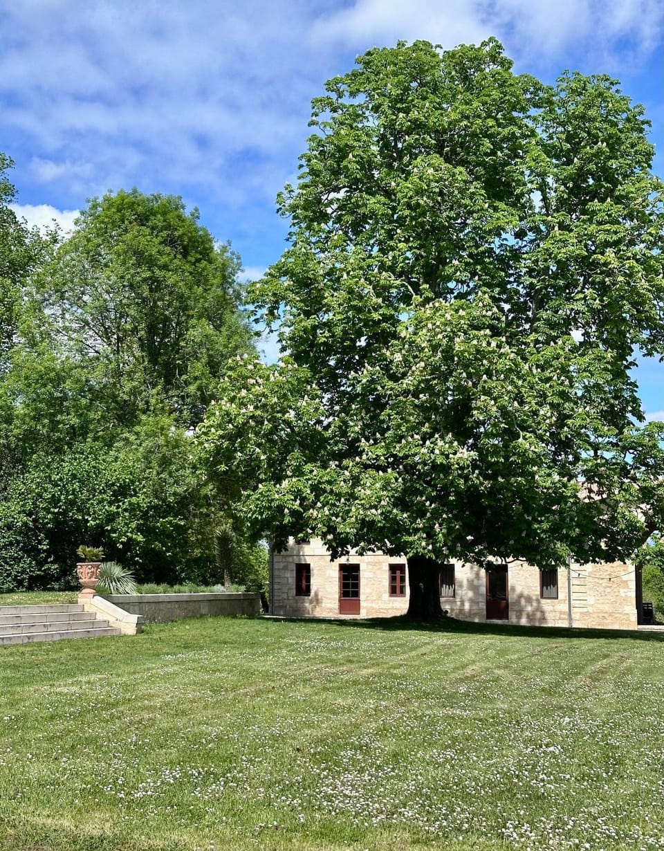 Property building, Garden