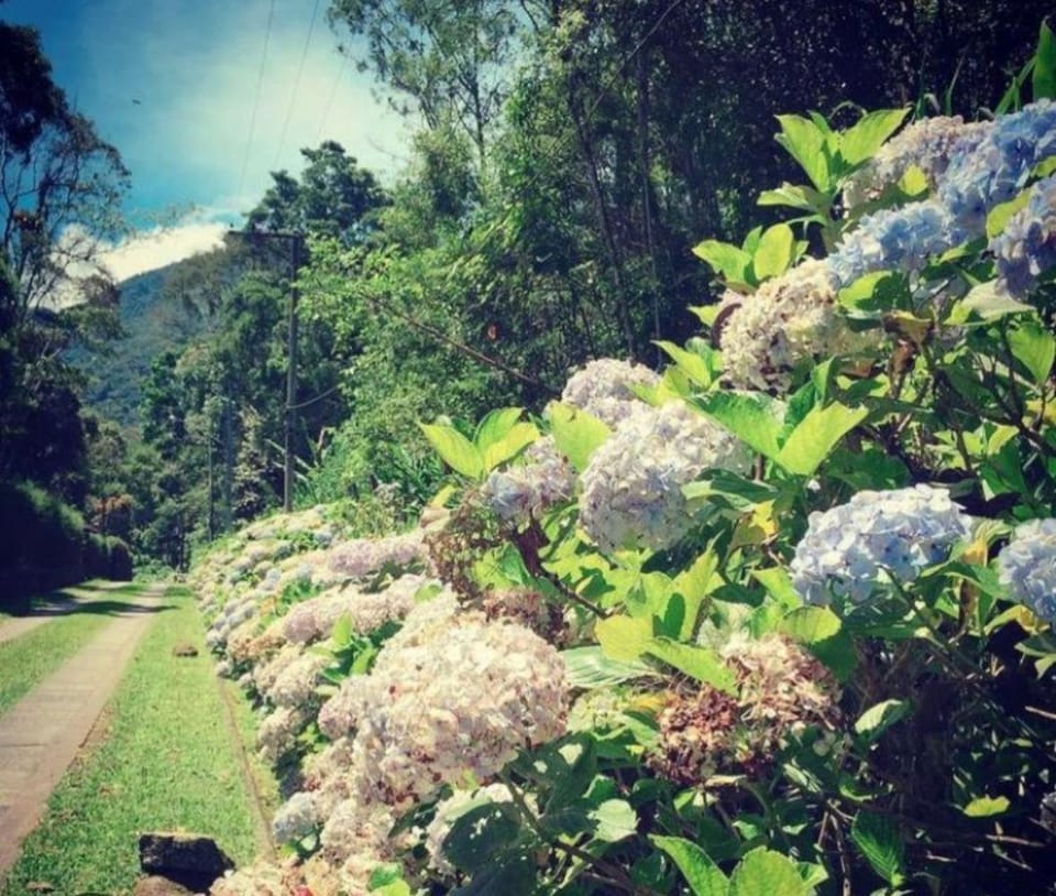 Morada dos Goldens Inn in Duque de Caxias