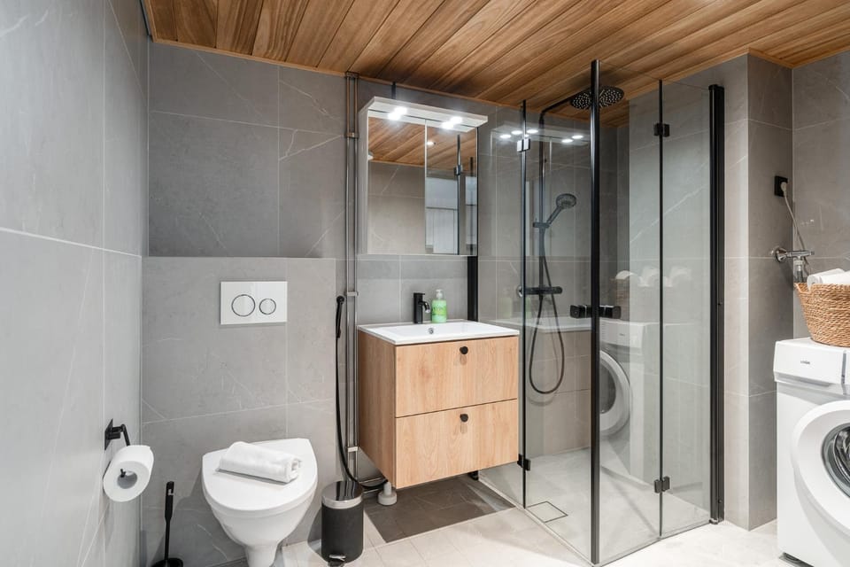 Shower, Toilet, Bathroom, washing machine