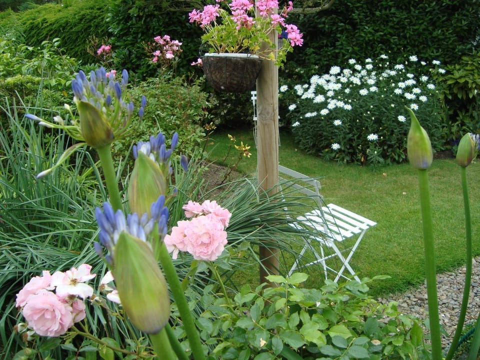 Rêves d'Emeraude Bed and Breakfast in Cancale