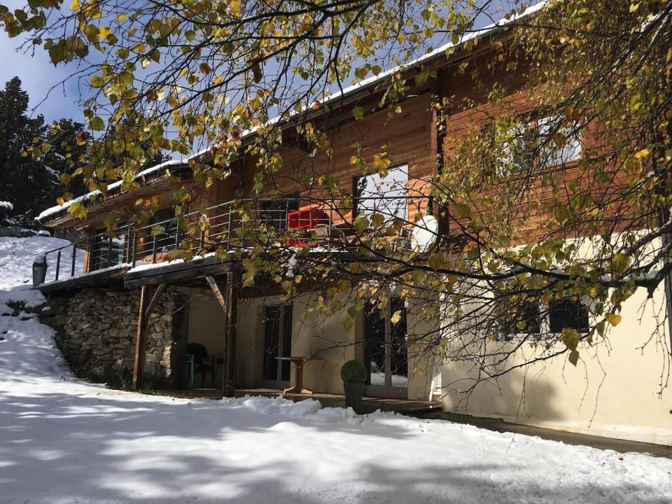 Winter
