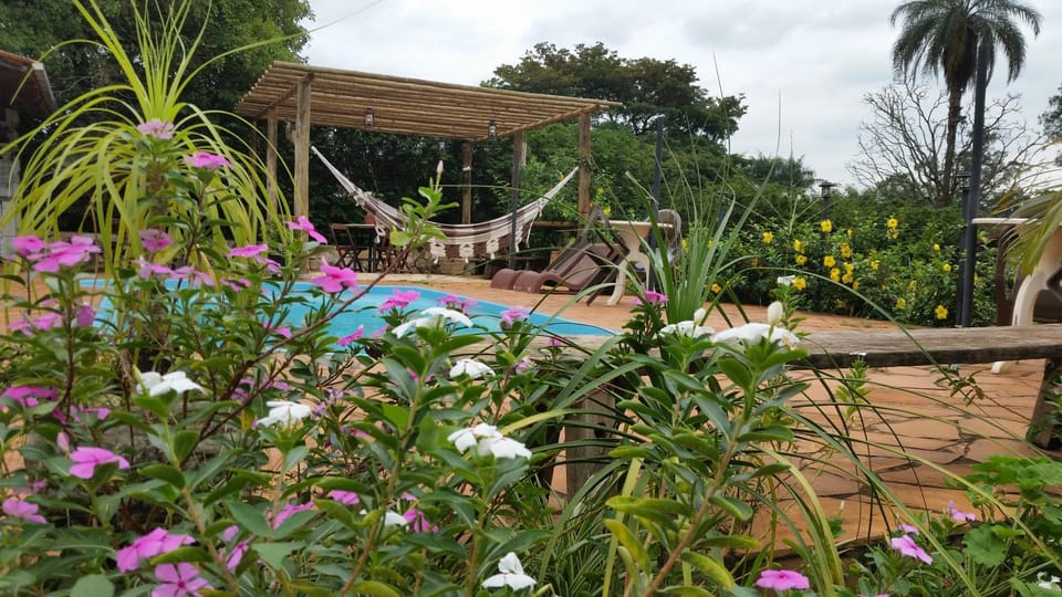 Garden, Swimming pool