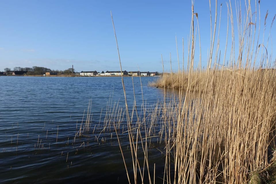 Lake view