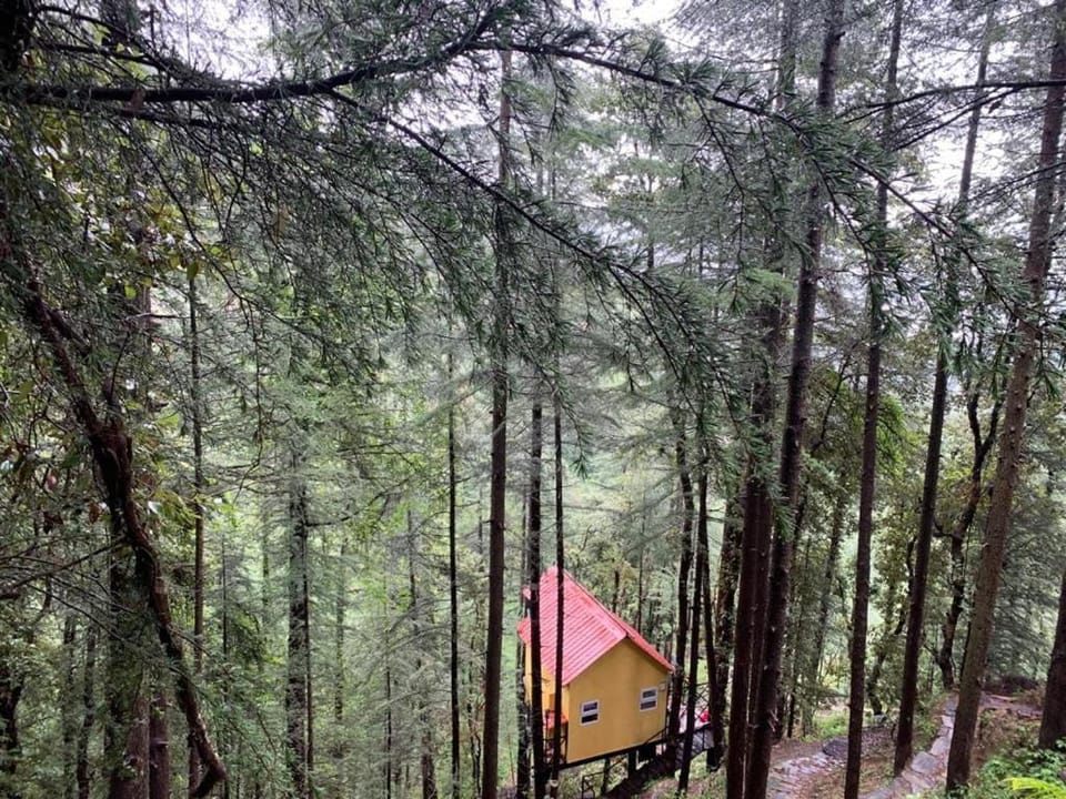 The dreamers nest Apartment in Himachal Pradesh