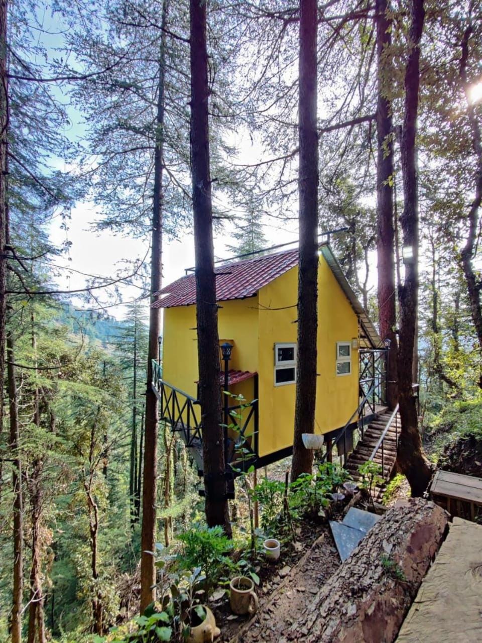 The dreamers nest Apartment in Himachal Pradesh