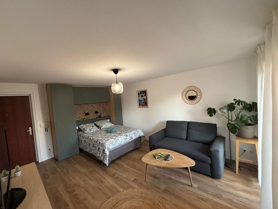 Le Studio Sainte-Cécile Strasbourg Neudorf Apartment in Strasbourg