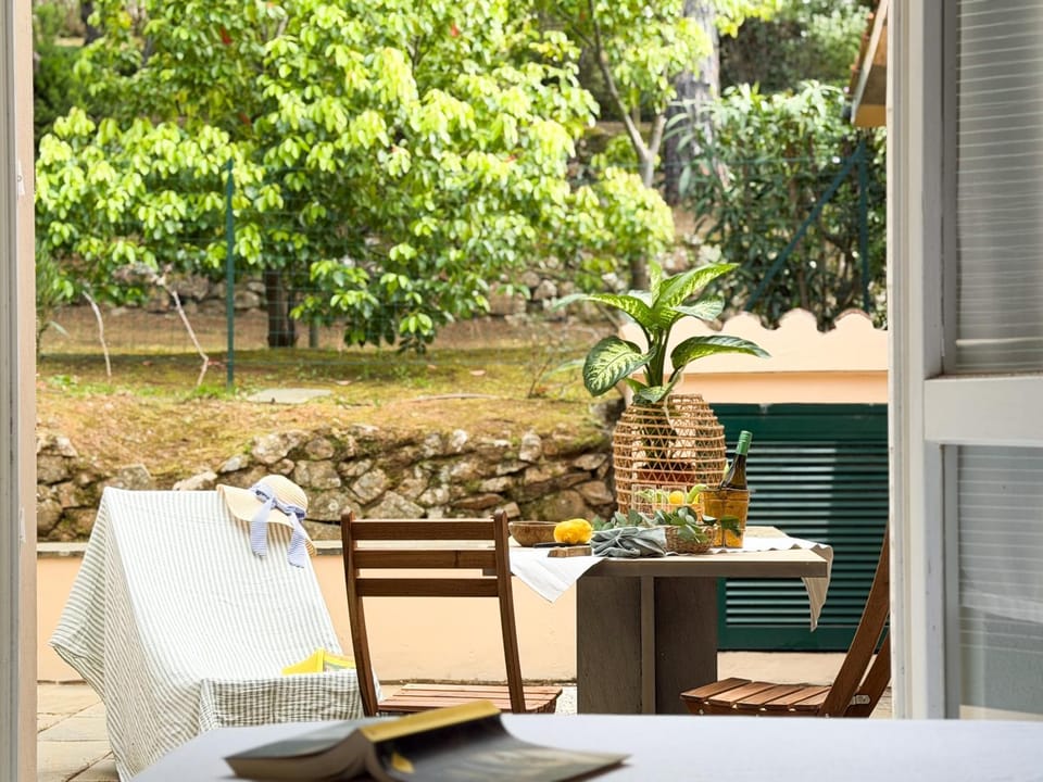 Day, Garden, Seating area, Garden view