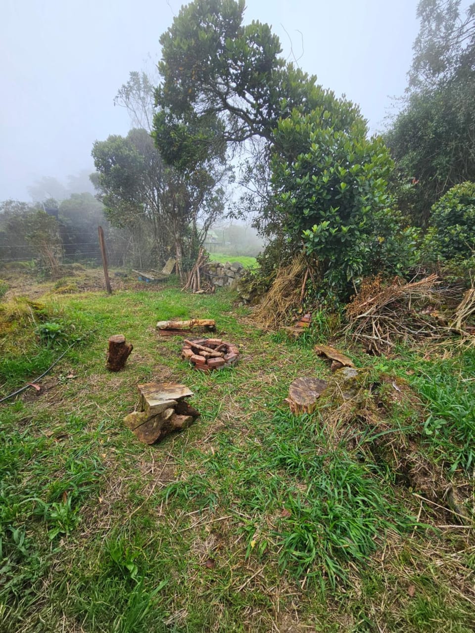 Natural landscape, Garden, Garden view