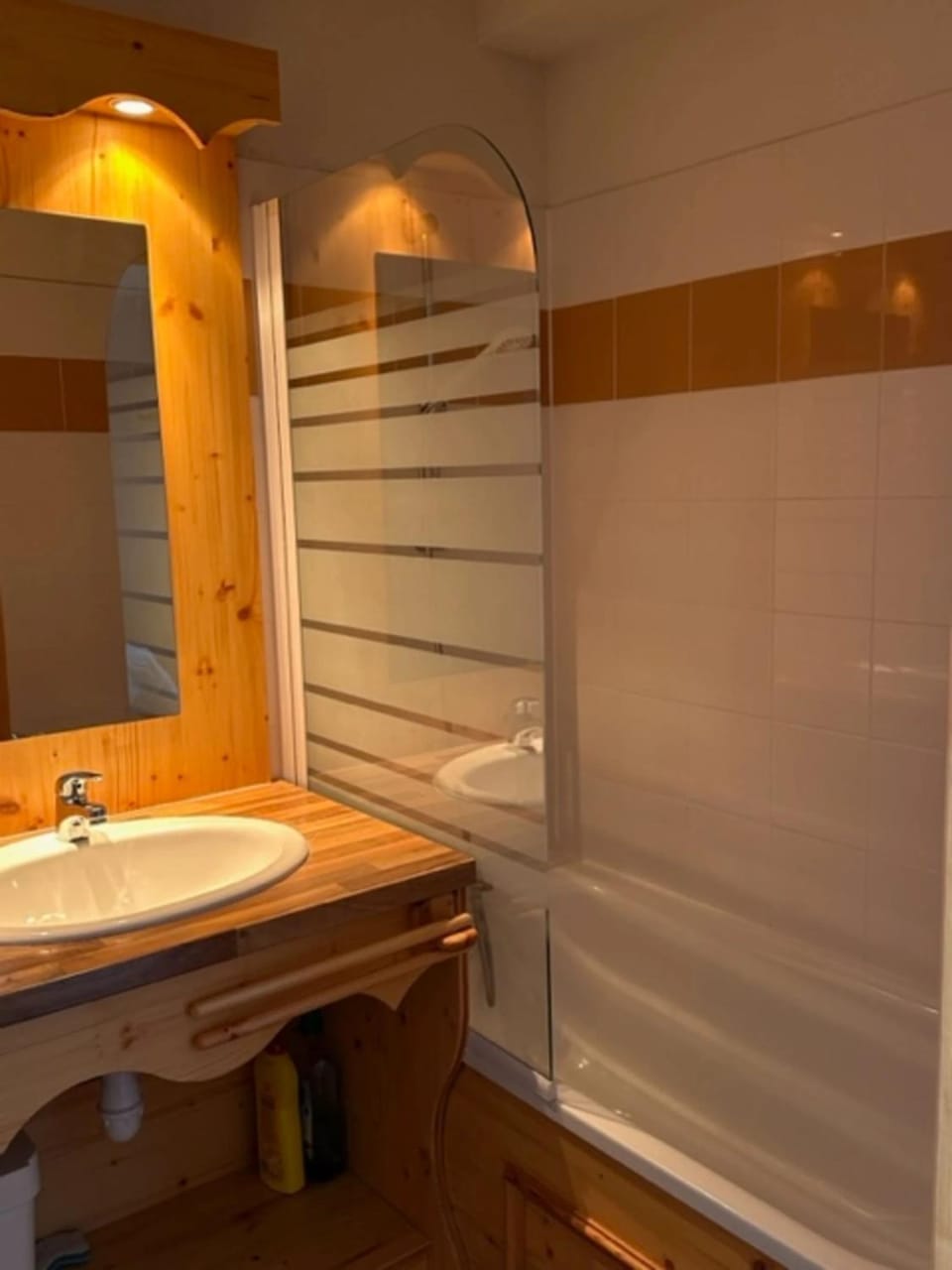 Bathroom, Living room