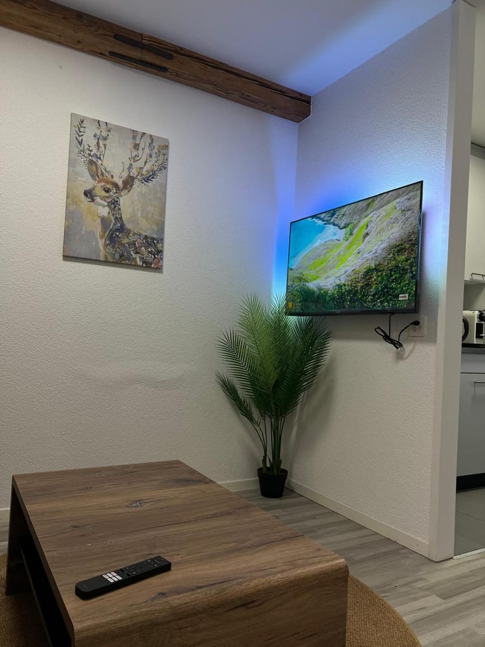 TV and multimedia