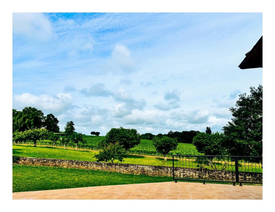 View (from property/room)