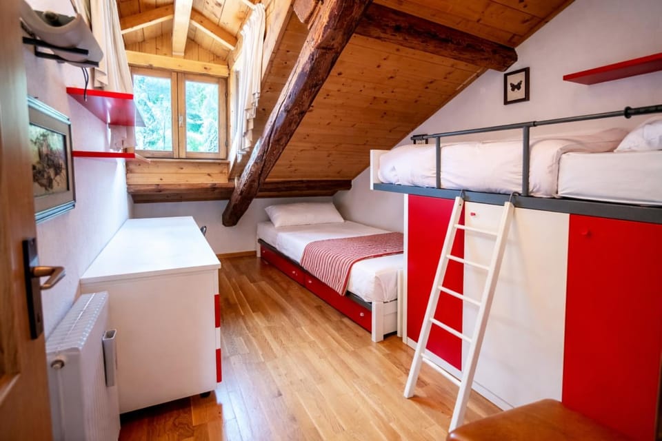 Bed, Photo of the whole room, Bedroom, bunk bed
