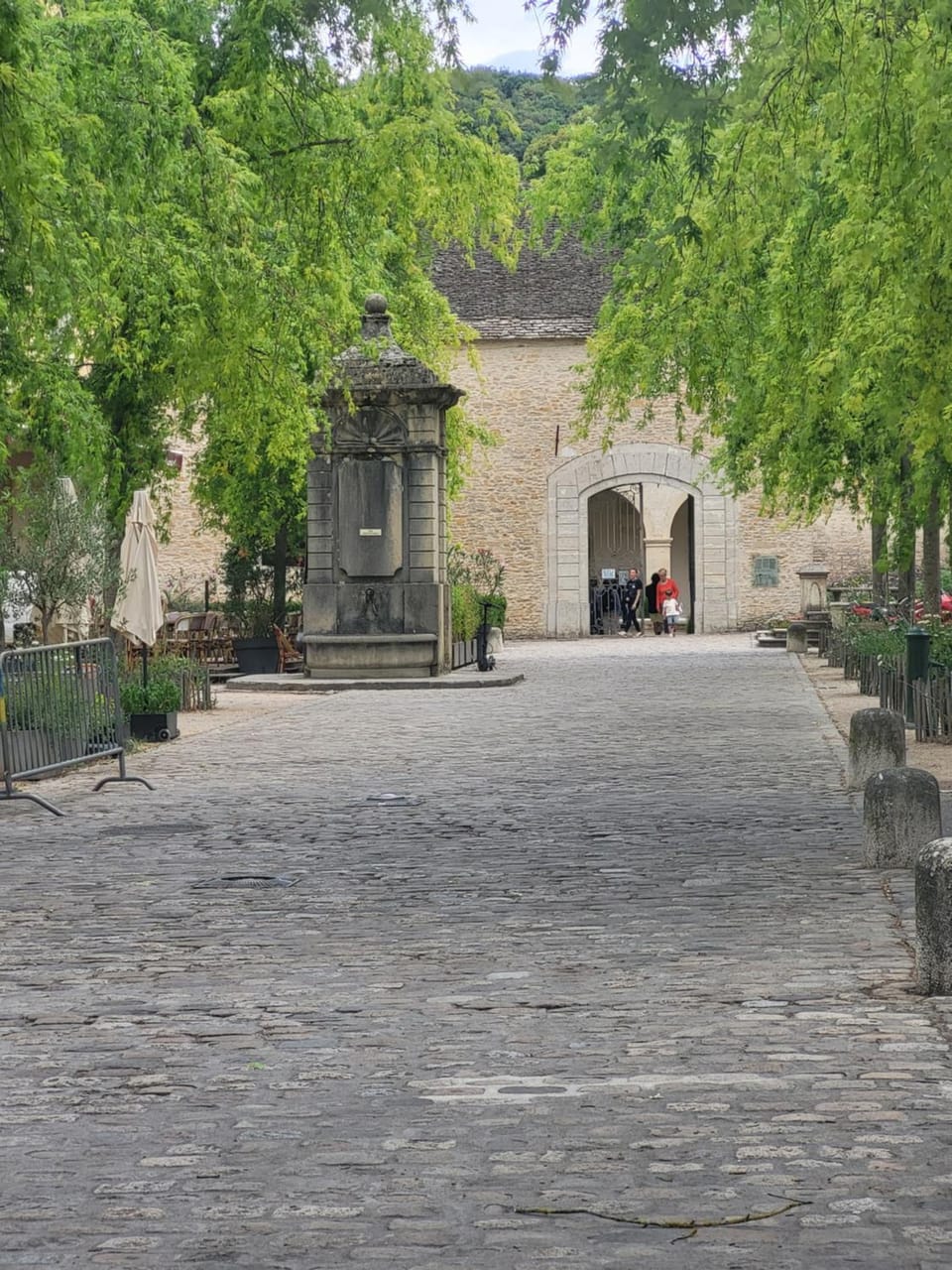 Pimprenelle maison de ville entière,atypique Villa in Auvergne-Rhône-Alpes