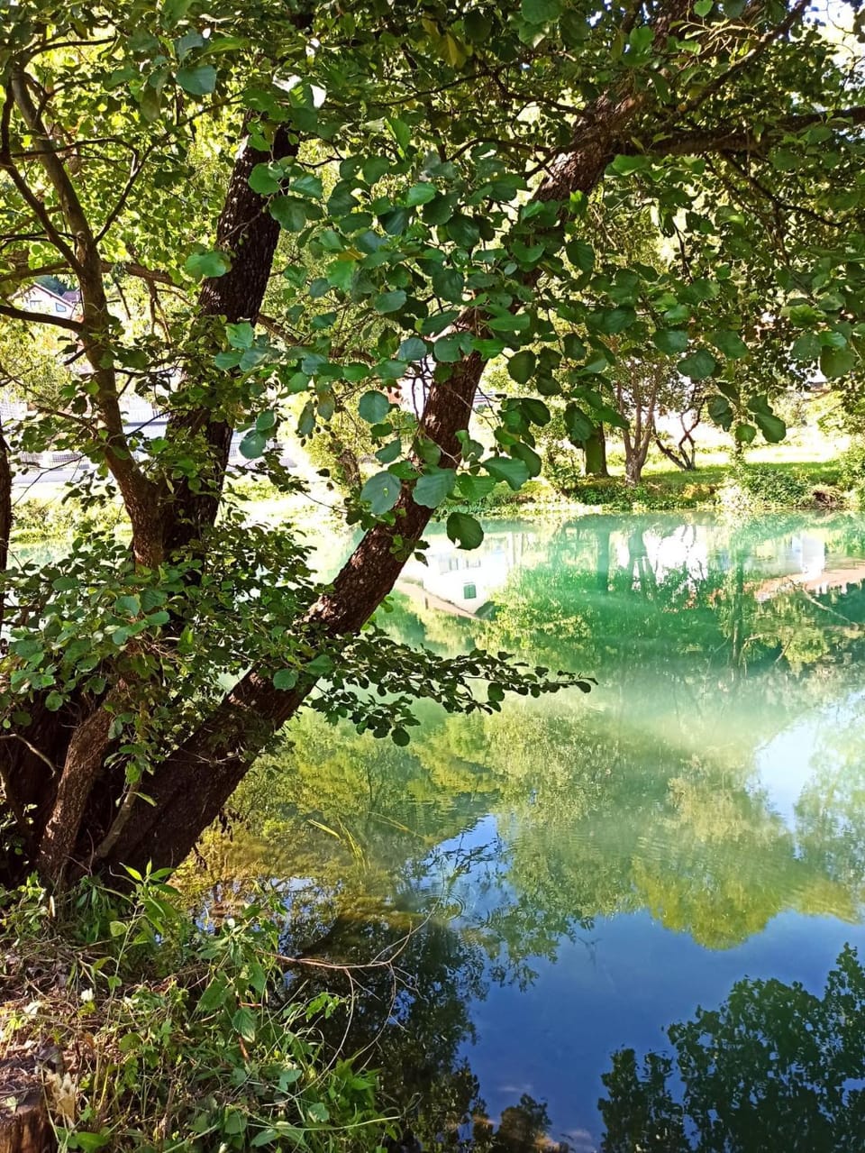 Apartments Pliva Riverside Apartment in Federation of Bosnia and Herzegovina