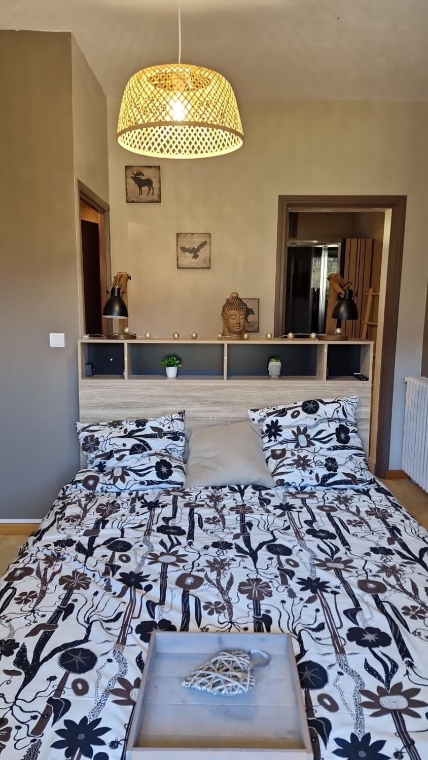 Les gîtes du soulor LE SUYEN avec bain nordique et sauna à 2 minutes du centre d'arrens marsous Apartment in Arrens-Marsous