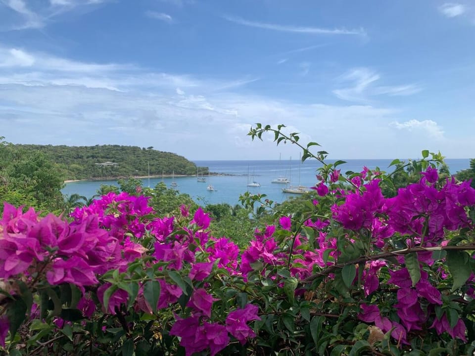 Exquisite villa in Unesco national park with beach at walking distance House in Antigua and Barbuda