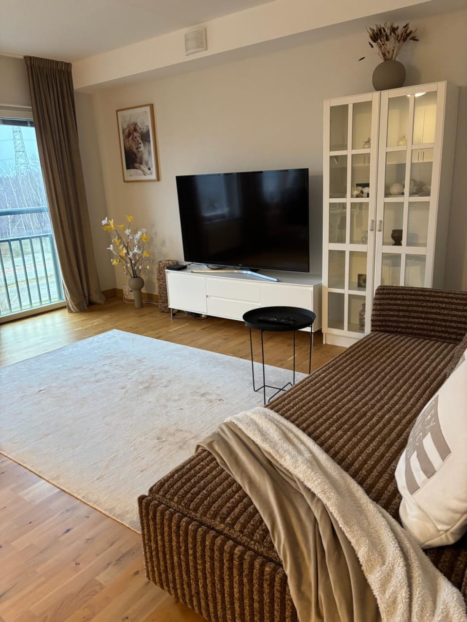 TV and multimedia