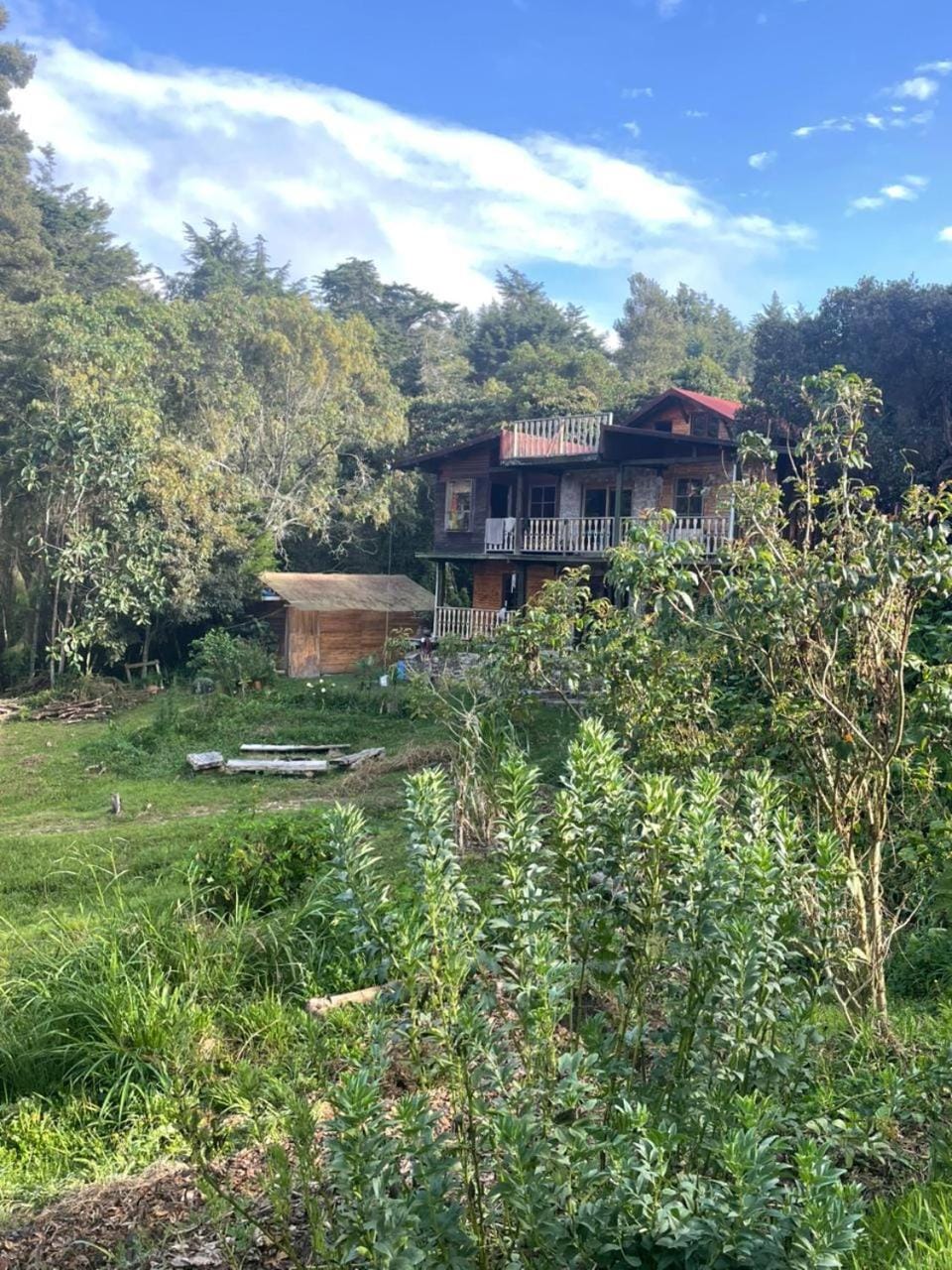 Property building