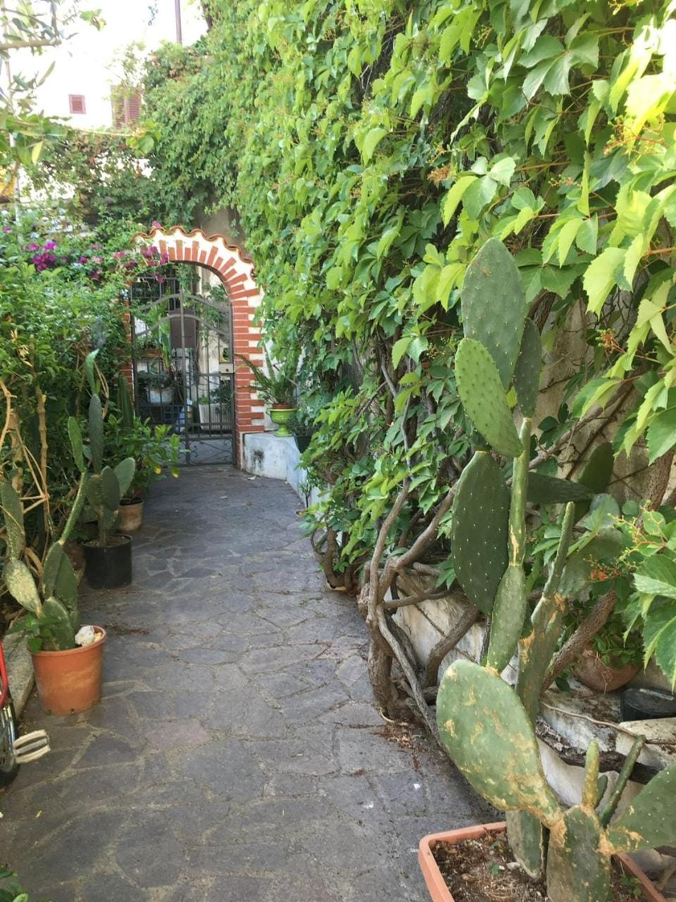 Patio, Inner courtyard view