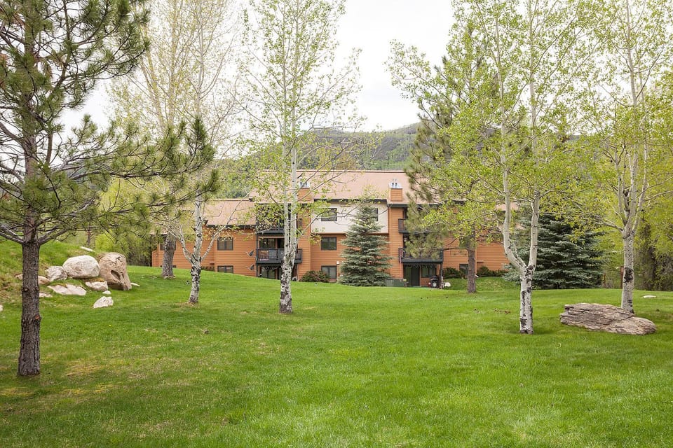 P103C - The Pines Condominiums Apartment in Steamboat Springs