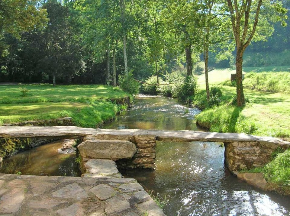 Natural landscape, River view