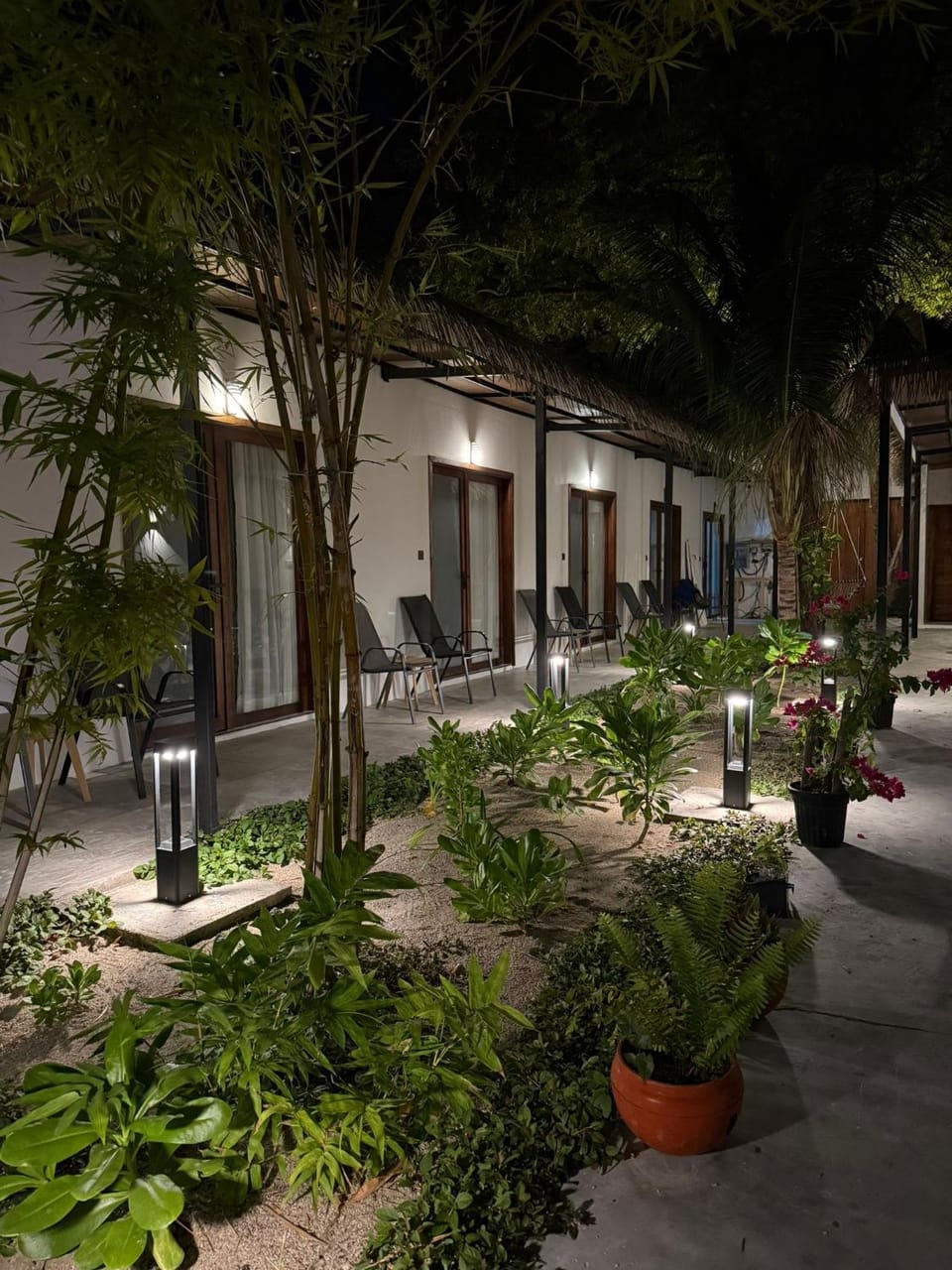 Property building, Night, Garden, Garden view
