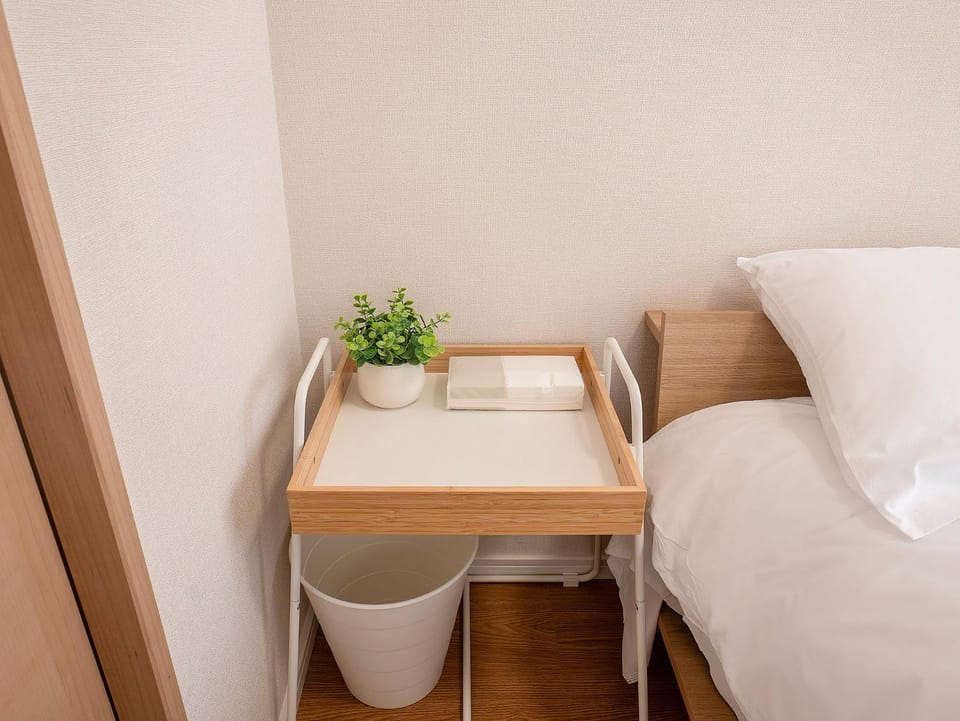 TP301 1LDK Home, Easy Access to Tokyo Skytree and Asakusa, 1 Double Bed and 1 single sofa bed, Sleeps 3 Apartment in Japan