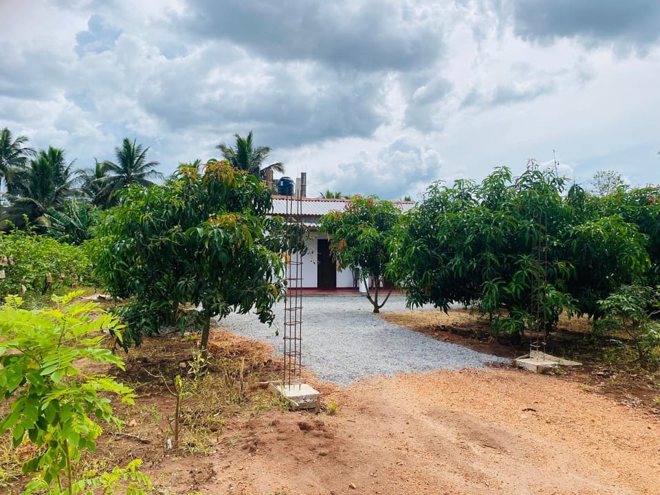 Lakeside Holiday resort Bed and Breakfast in Dambulla