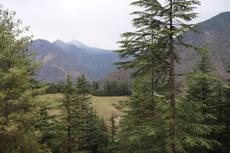 Mountain view