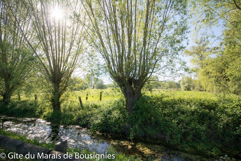 Natural landscape