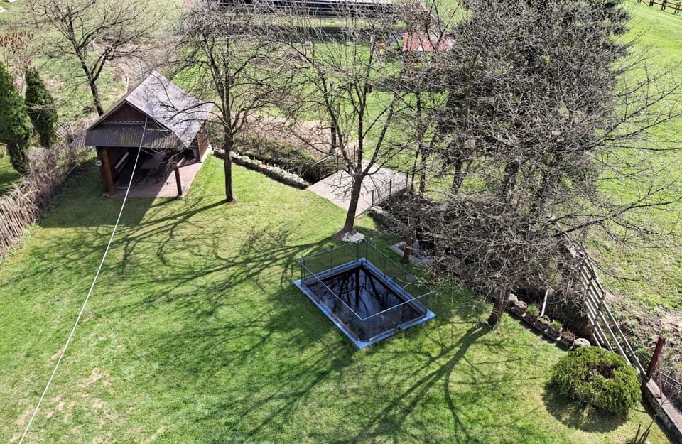 Spring, Day, Natural landscape, Garden, Garden, Garden view