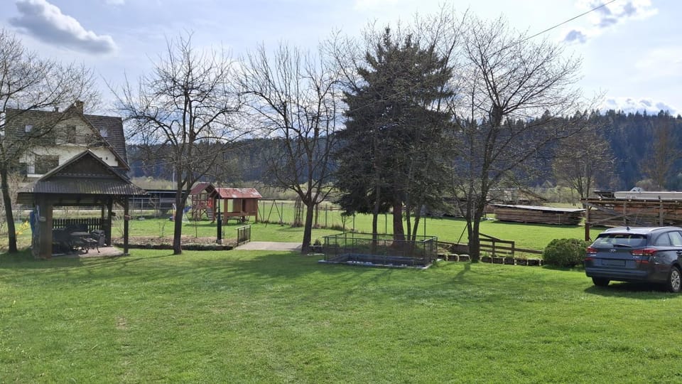 Natural landscape, Children play ground, Garden, Garden, Garden view
