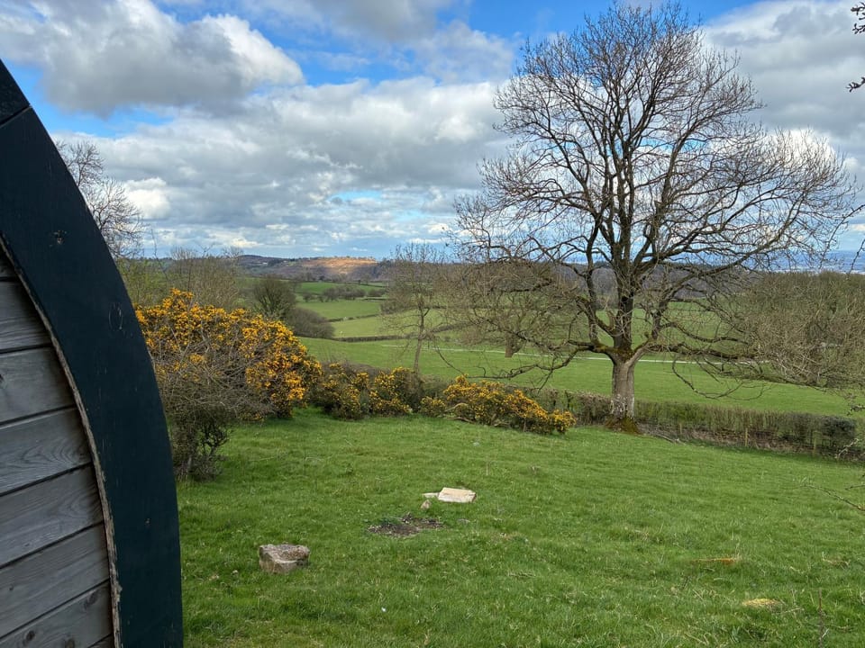 Hillside Pod Nature lodge in England