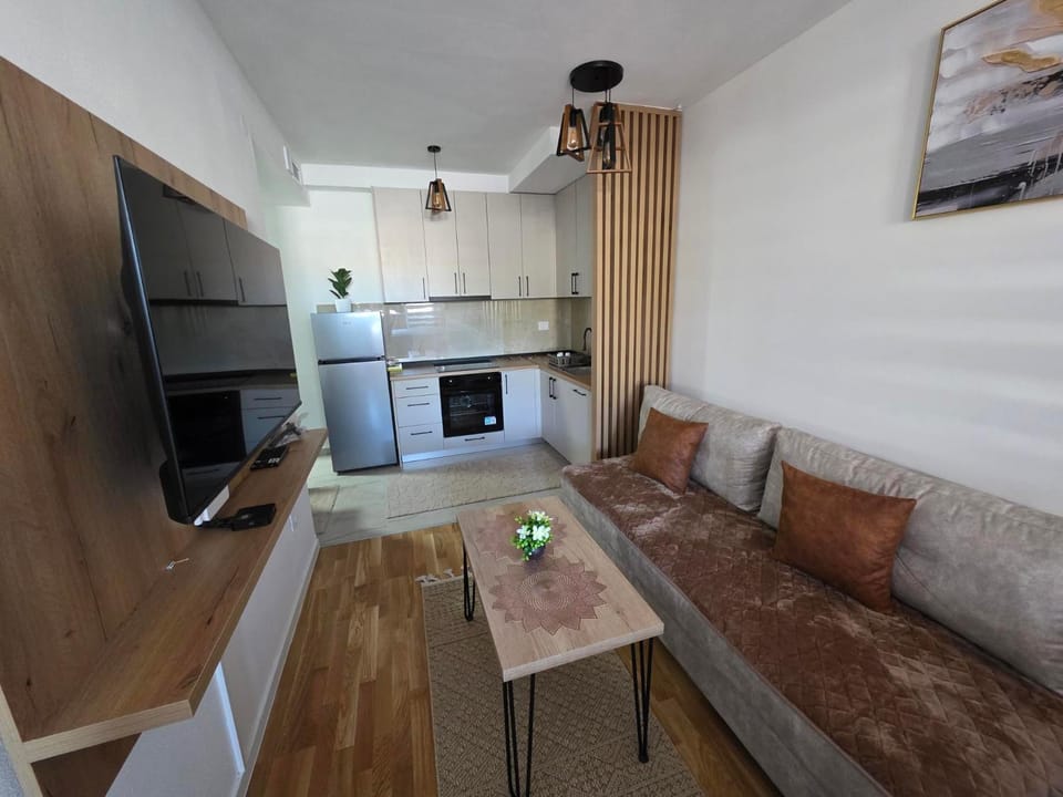 Living room, kitchen