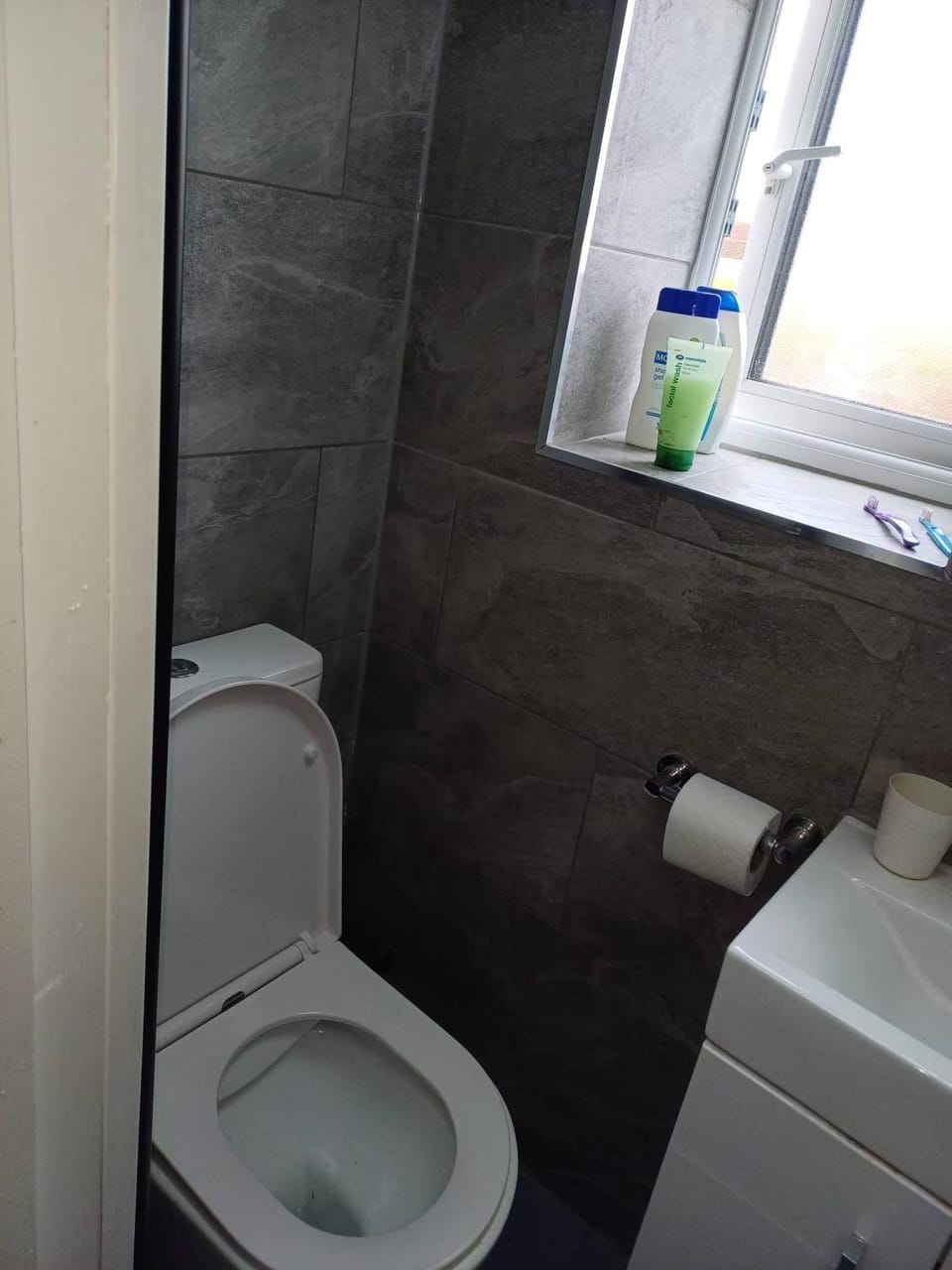 Toilet, Bathroom