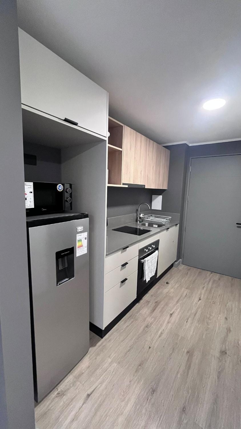 Nice and Cozy Studio in Downtown Santiago Apartment in Santiago