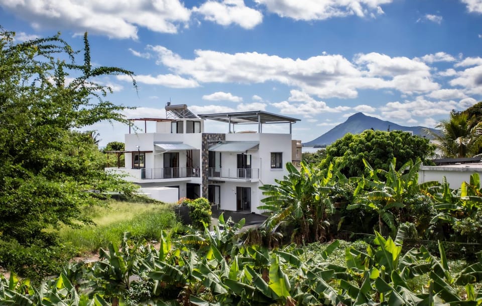 Property building, Spring, Day, Natural landscape, Summer, Garden, View (from property/room), Other, Other, Garden view, Location