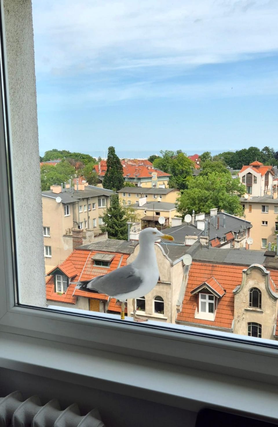 Szóste Piętro Sixth Floor Sopot Sea View Studio and Bright Apartment Apartment in Sopot