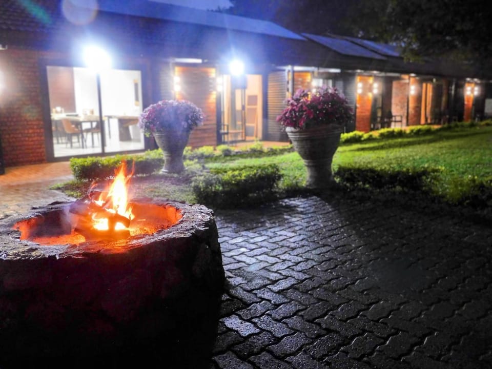 Night, Garden view