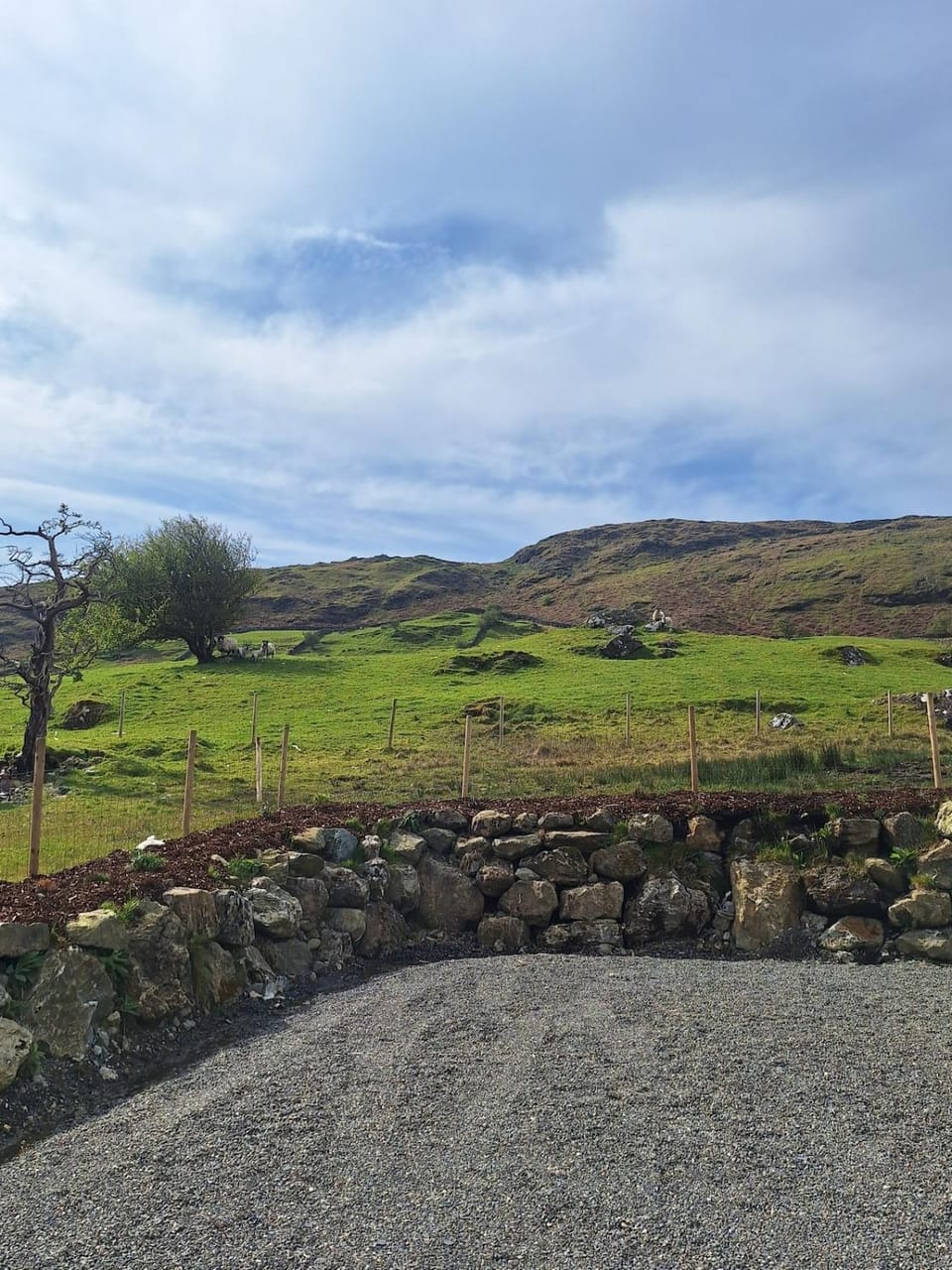 Sunny Hills Cottage House in County Mayo